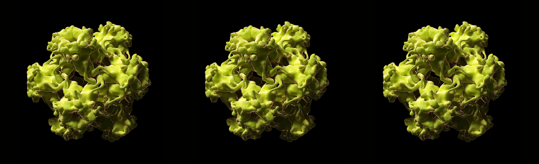 Cervical Cancer caused by the Papilloma Virus